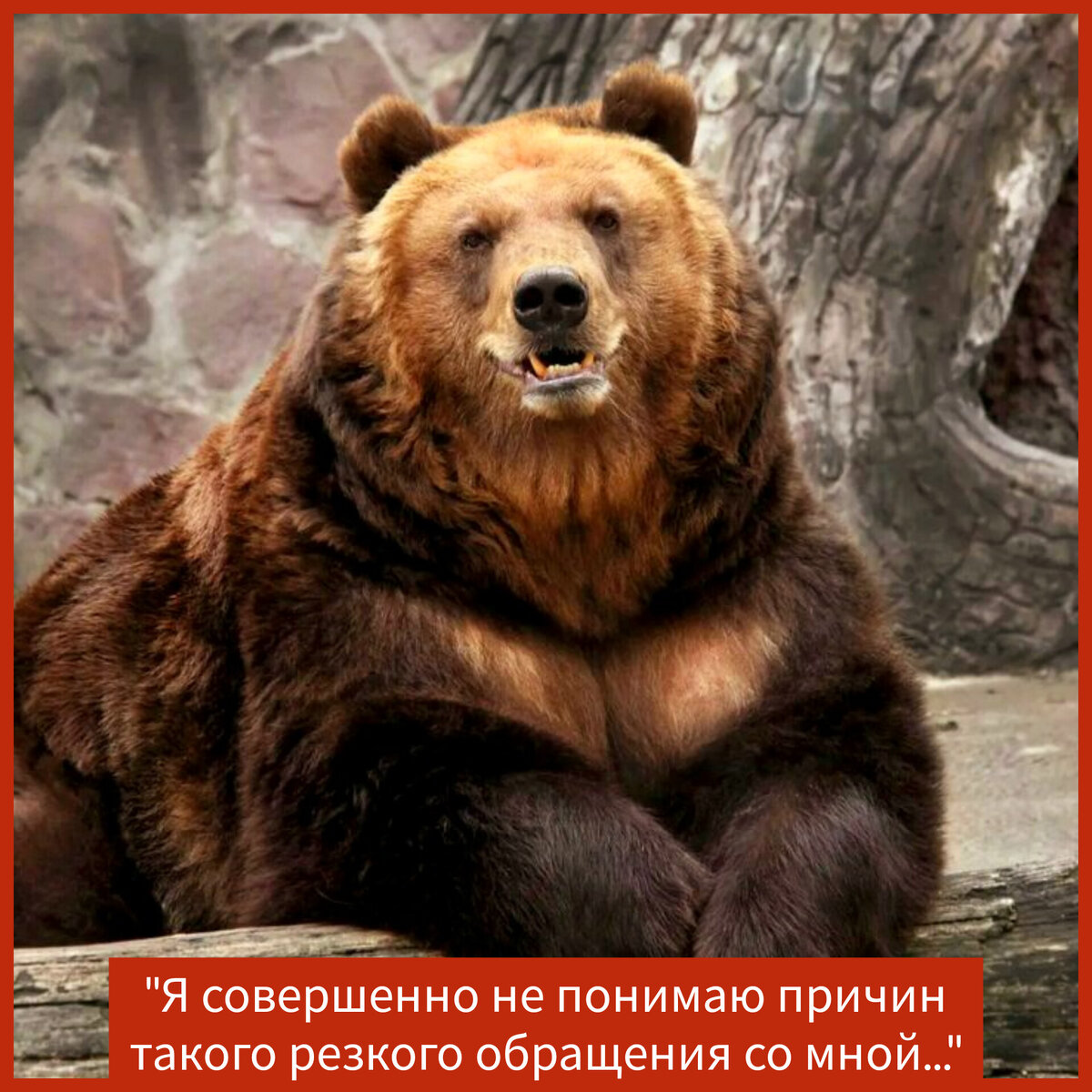 Фото в редакции автора