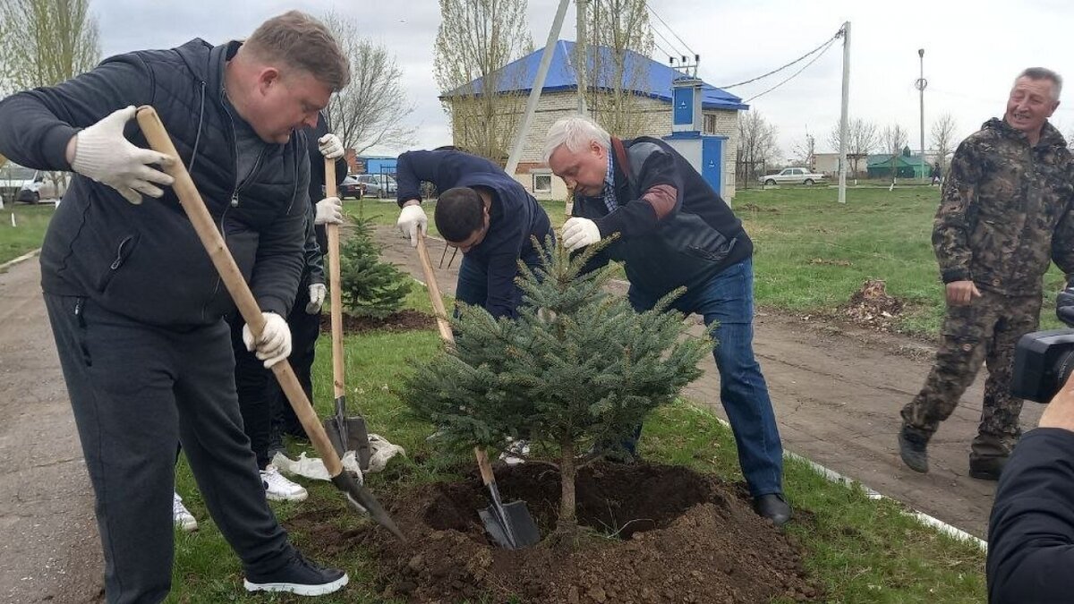    Власти Энгельса заявили о масштабных работах на участках для многодетных семейНовости Саратова и области – Сетевое издание «Репортер64»