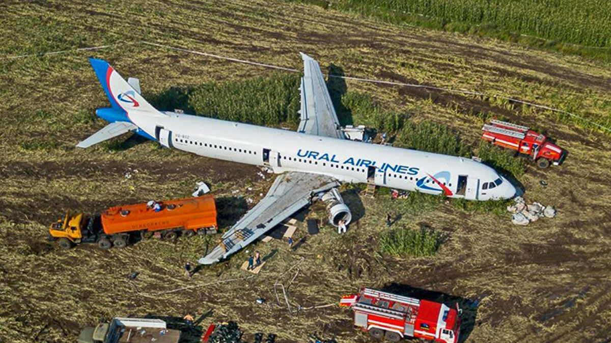 Сколько лет самолету. Airbus a321 Уральские авиалинии. А321 Уральские авиалинии кукурузное поле. На кукурузном поле Airbus a321. Airbus a321 посадка.