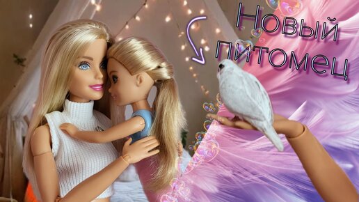 У Барби и Челси улетел ПОПУГАЙ🦜♡|Новый питомец♡ Сериал ♡Barbie Life♡