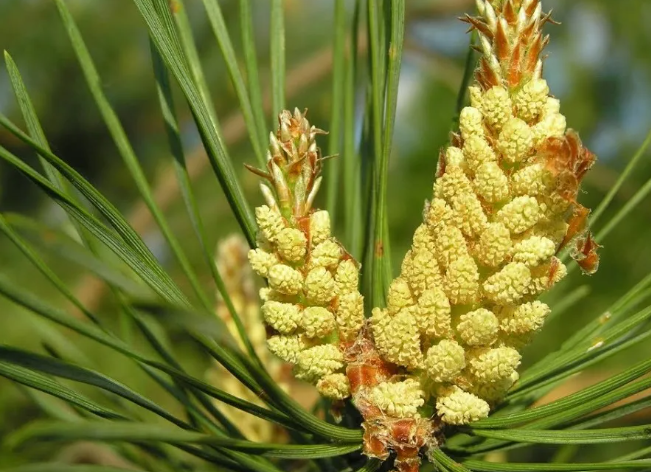 Фото из открытых источников интернета