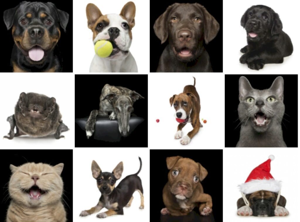    Фото: Alex Cearns