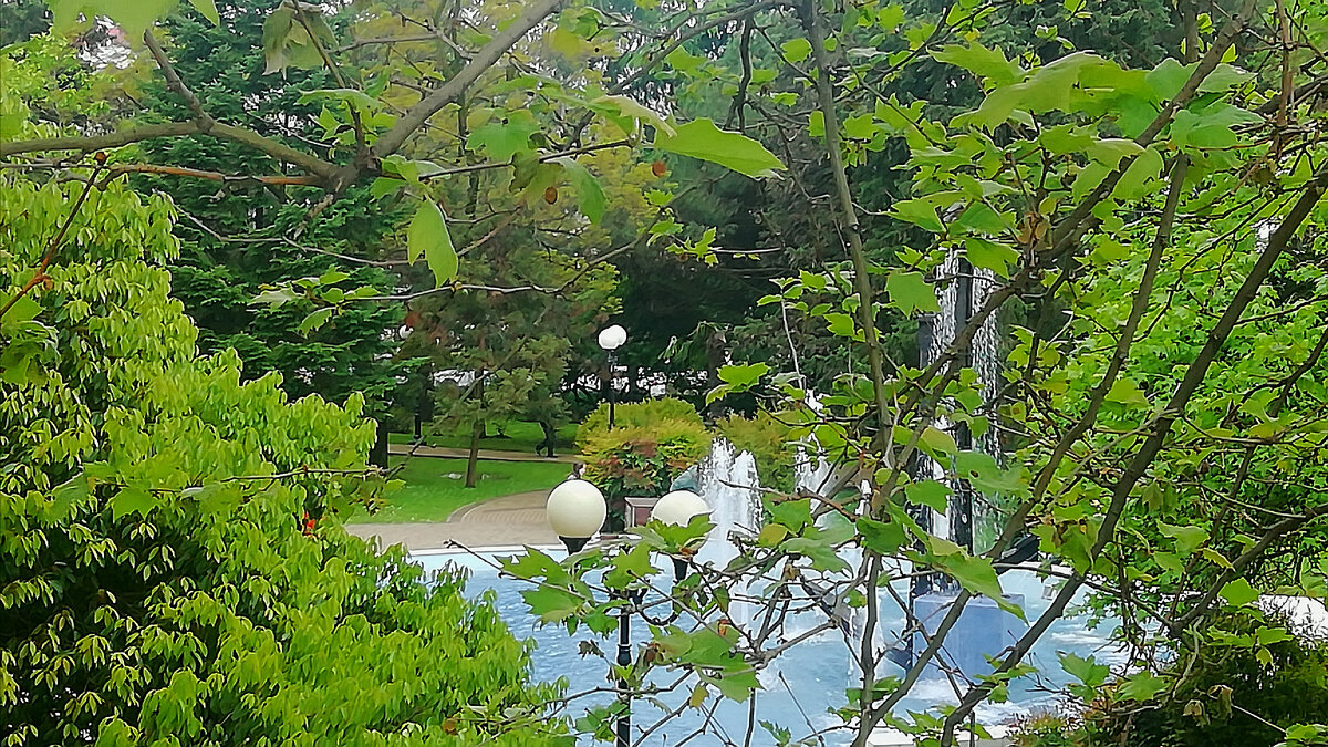 Центр города Сочи, небольшой сквер и работает фонтан. На протяжении долгого времени фонтан не работал. 