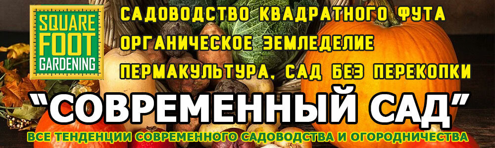 Дневник садовода или садовый журнал, как сделать да вести