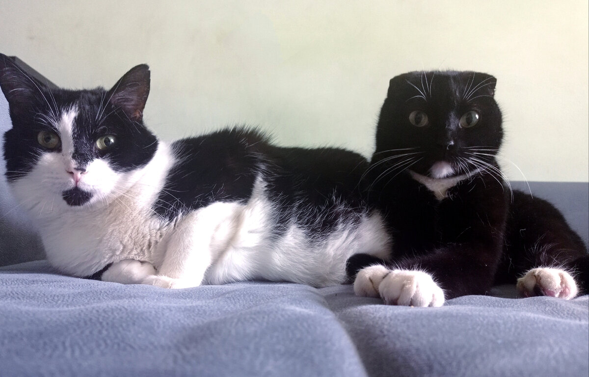 На фото 2/3 хулиганов