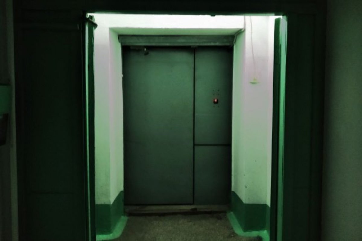    Вредные насекомые и грызуны появляются и в квартирах, и в подьездах.