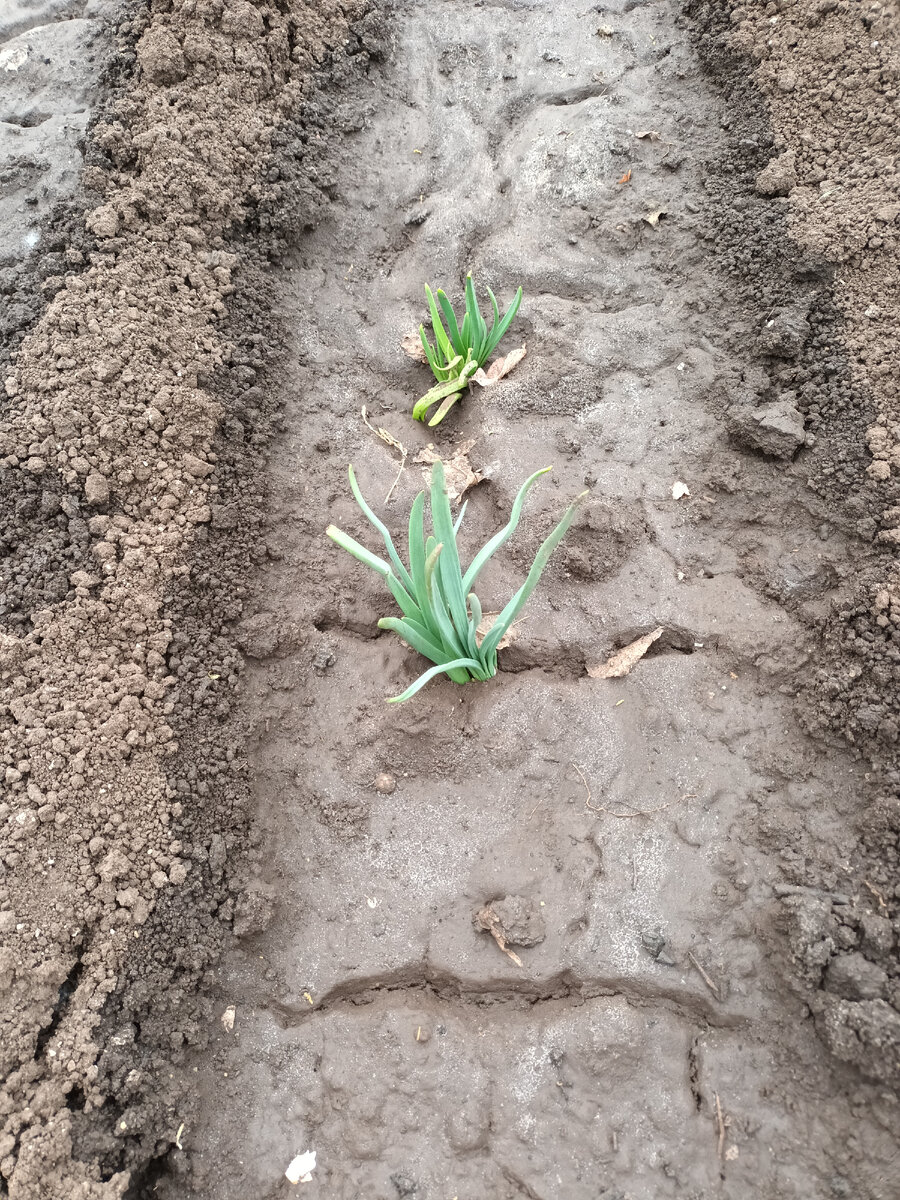 Повылазили