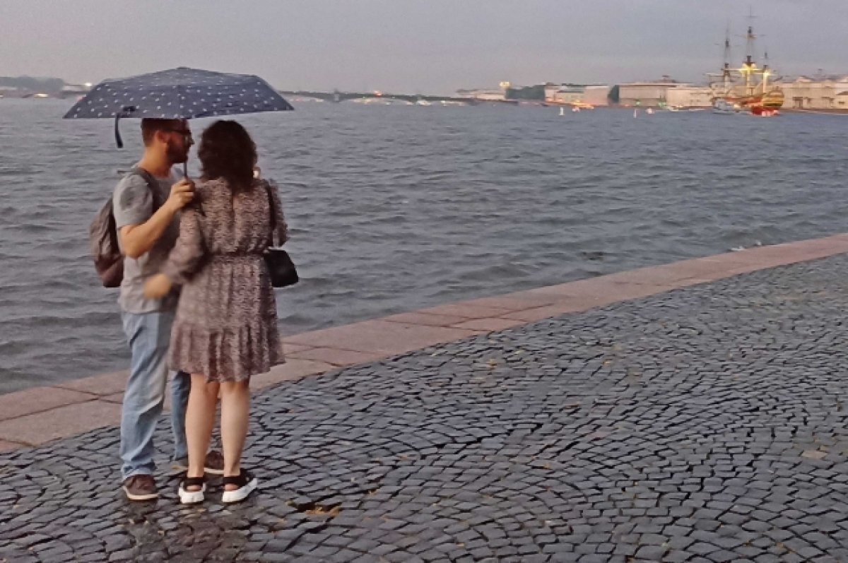    Рабочая неделя в Петербурге начинается лёгкими дождями и потеплением до +23