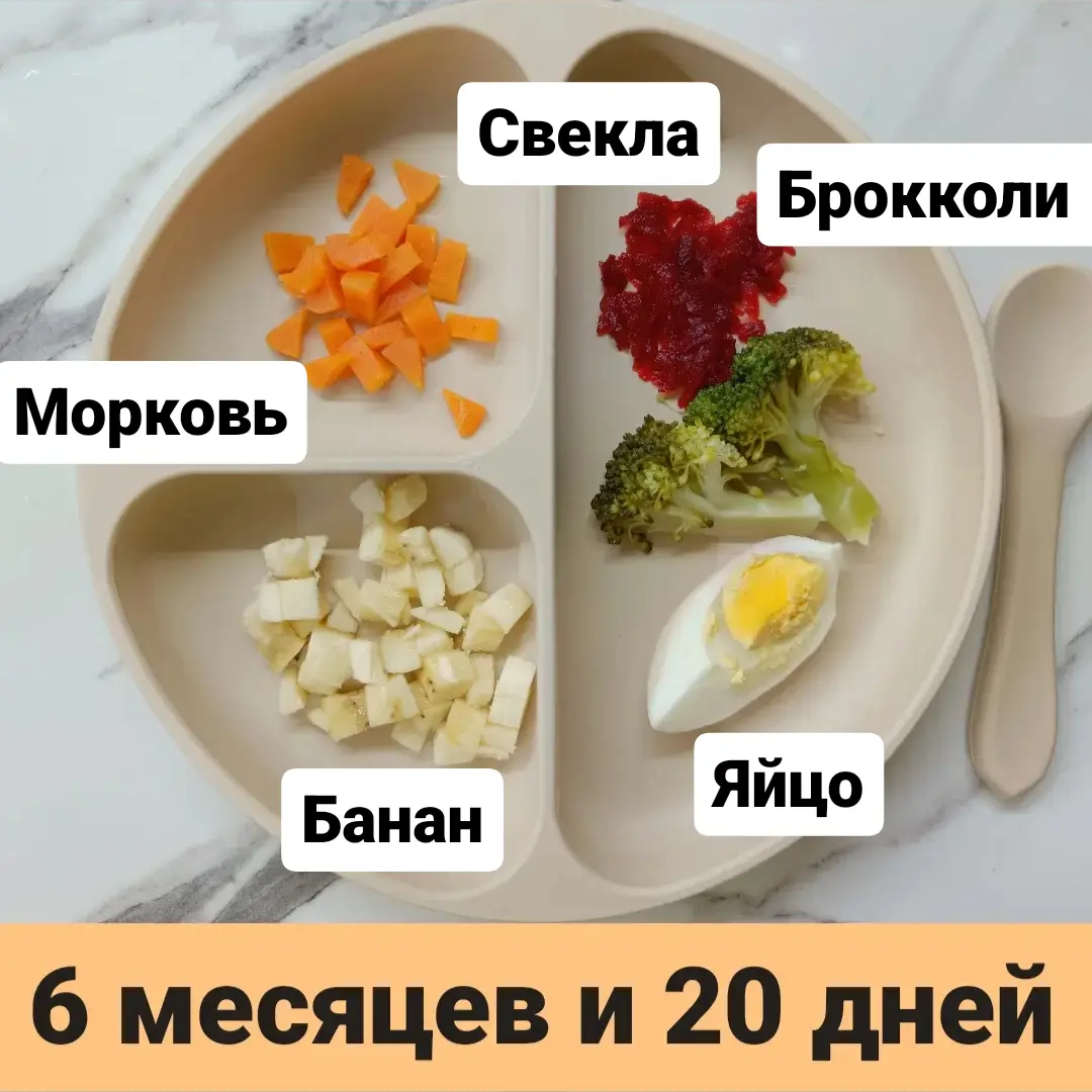 Пример тарелки в 6 месяцев 