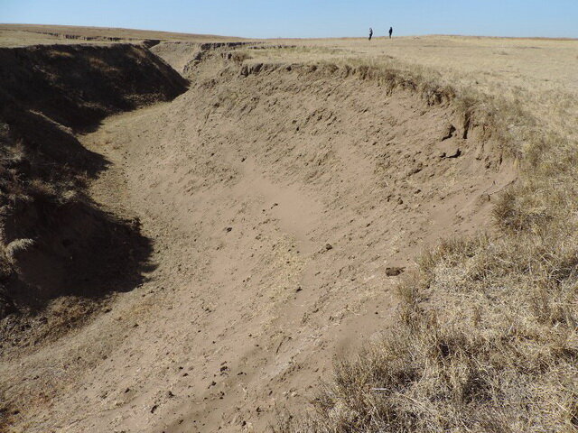 Начало полевого сезона | Даурский заповедник | Дзен