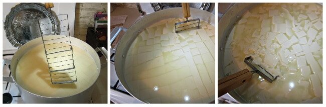 Нарезка сырного сгустка лирой