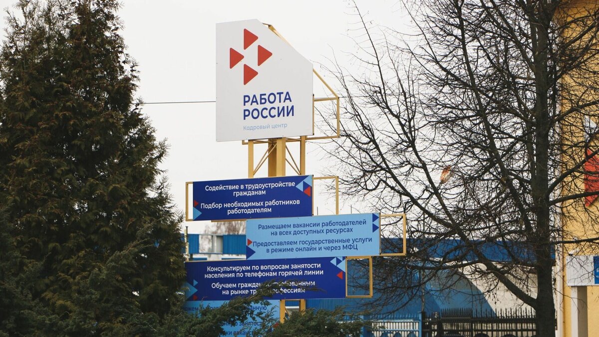     В Тюменской области ищут кандидатов на должность уволенного директора центра занятости населения Тюмени и Тюменского района. На данный момент исполняющим обязанности организации назначена замдиректора Людмила Хохлова.