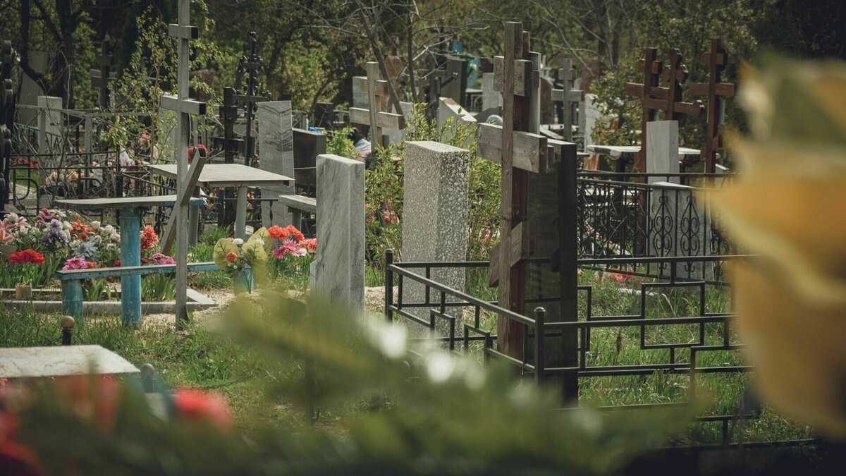     Жители Камышина Волгоградской области уличили детей в вандализме на местном кладбище, сообщают горожане в соцсетях. По их словам, юные хулиганы ломают оградки, деревья и бьют вазы.
