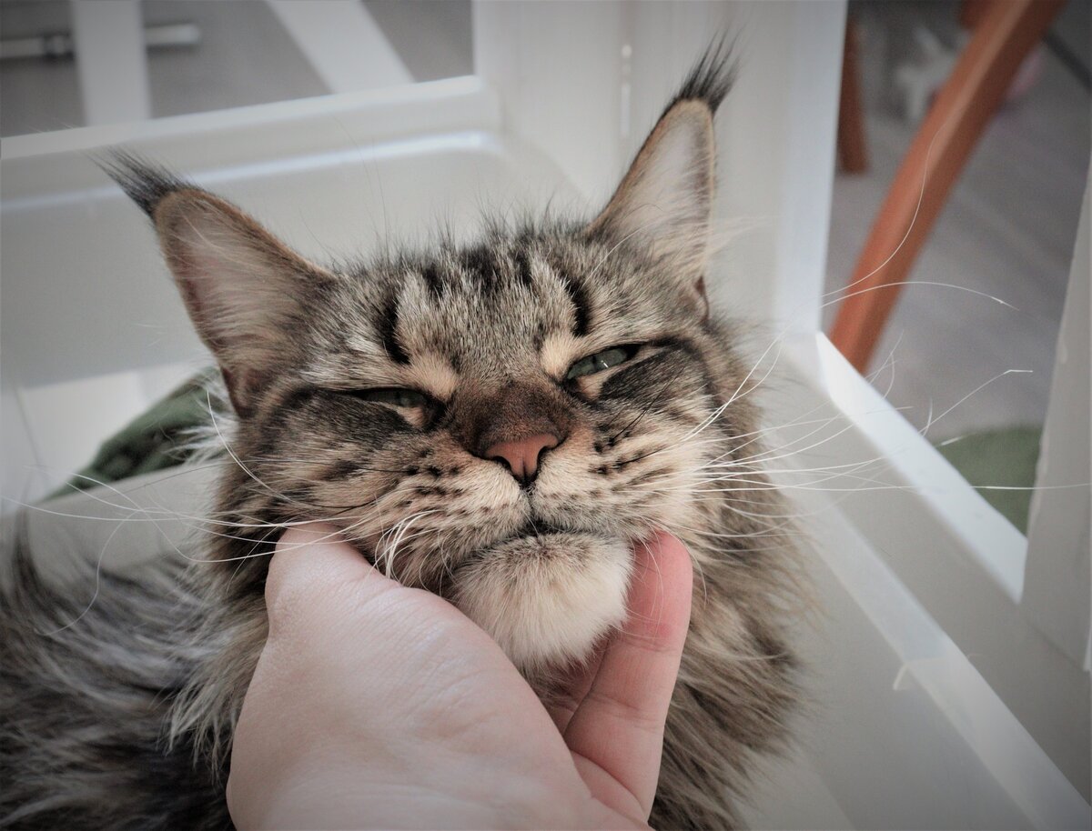 Фото из личного архива.