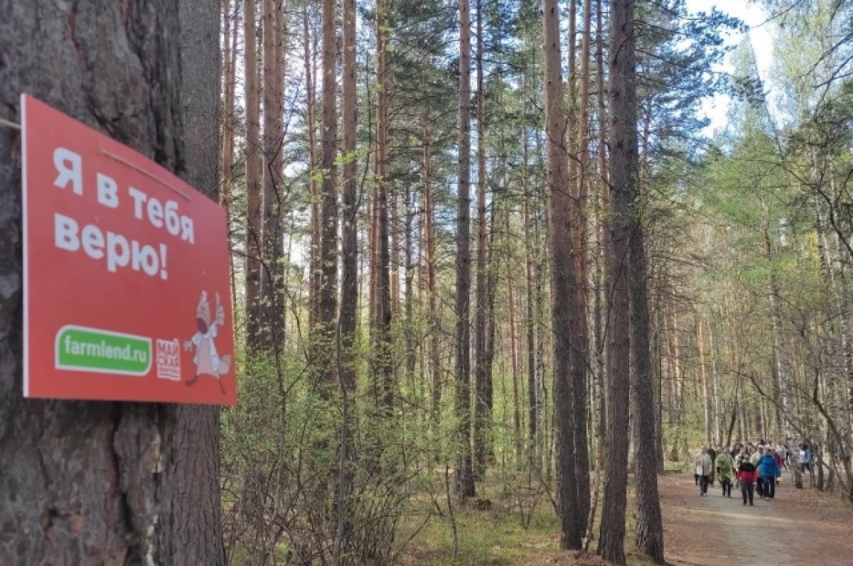    «Майскую прогулку» в Екатеринбурге перенесли