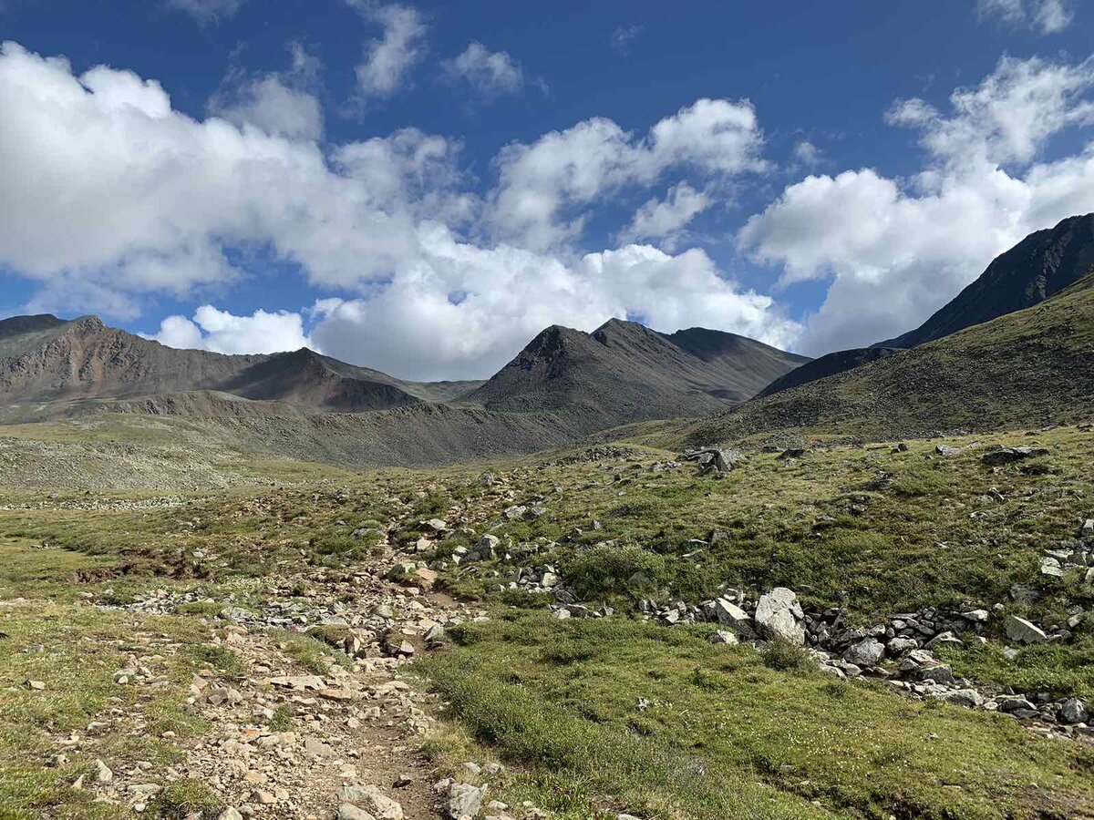 раздолье. Не успел сфотографировать коров. Разбежались. =)