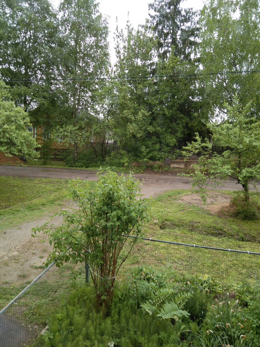 А вот это мне еще предстоит выполоть!