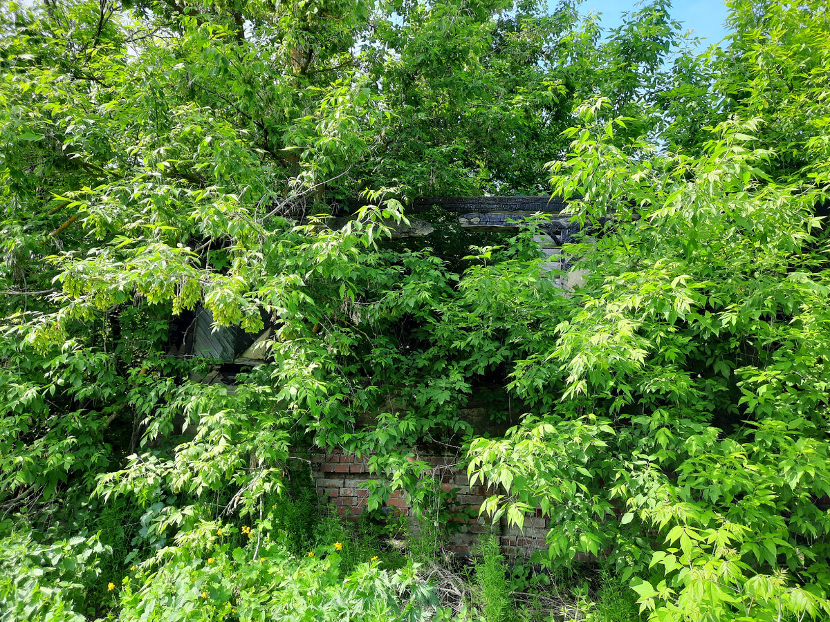 Дом немного виден 