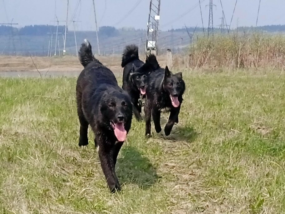 Как Семечки выросли. А были  совсем малюсенькие.