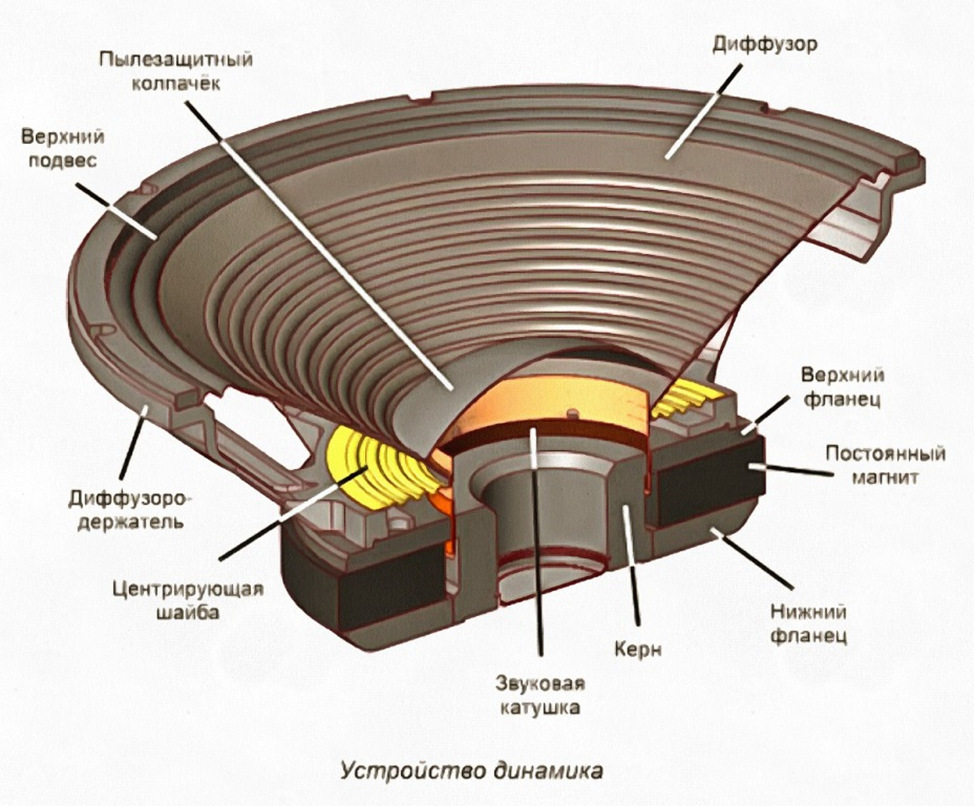Очистка верхнего динамика. Из чего состоит динамик колонки. Строение динамика колонки. Конструкция диффузора динамика. Конструкция сабвуферного динамика.