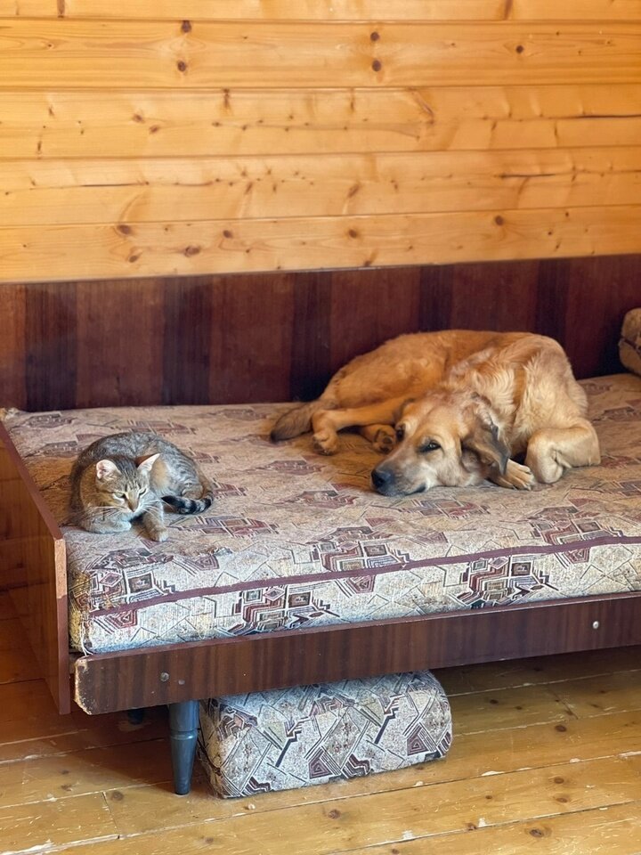     Фото из архива Светланы Мусатовой