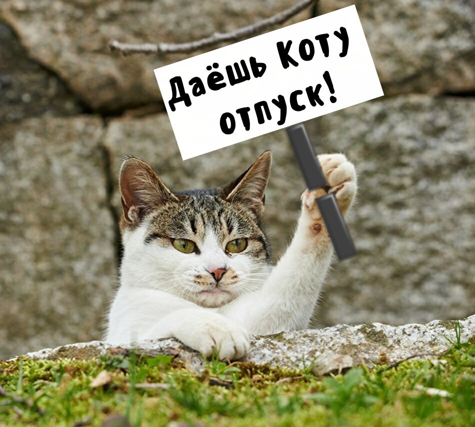 Источник: Яндекс картинки