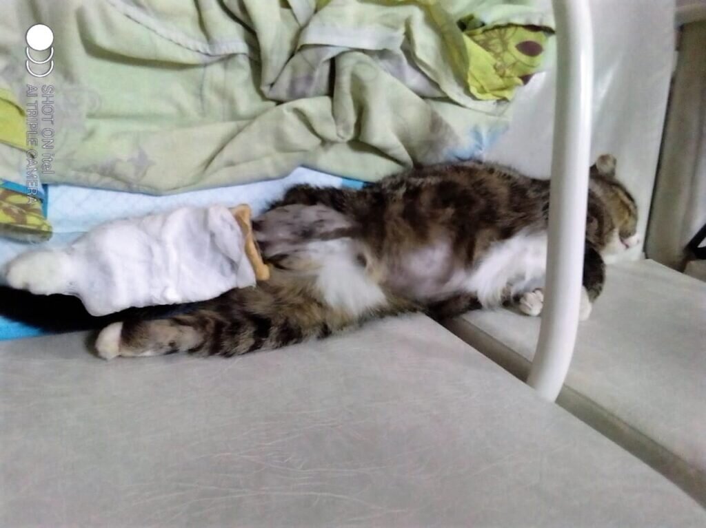   Фото: Дарья Куряшкина