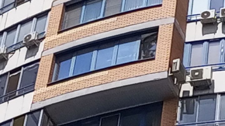 Фото: ЦАРЬГРАД 