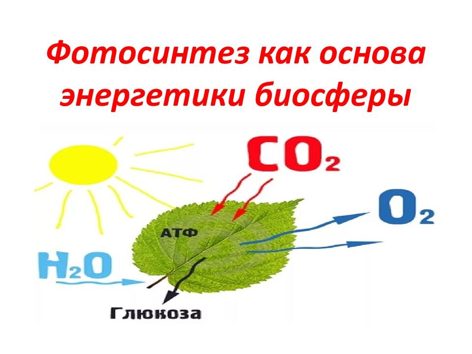 Значение фотосинтеза схема. Схема процесса фотосинтеза 6 класс. Photosintes. Основы фотосинтеза. Фотосинтез для детей дошкольного возраста.