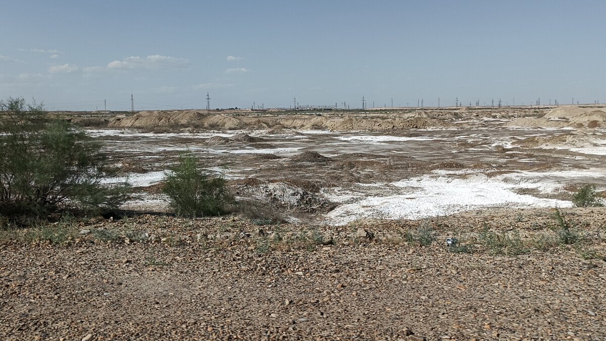 Фотография автора. Солончак.