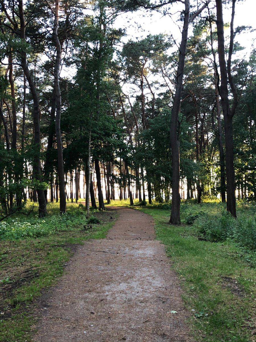 Фото автора - тропинка, ведущая к морю 