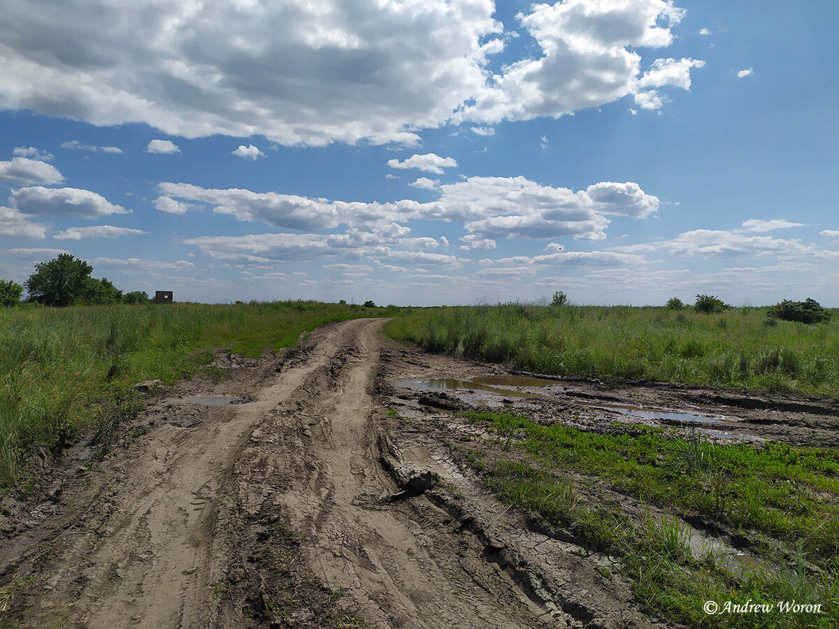 Дорога вдоль реки