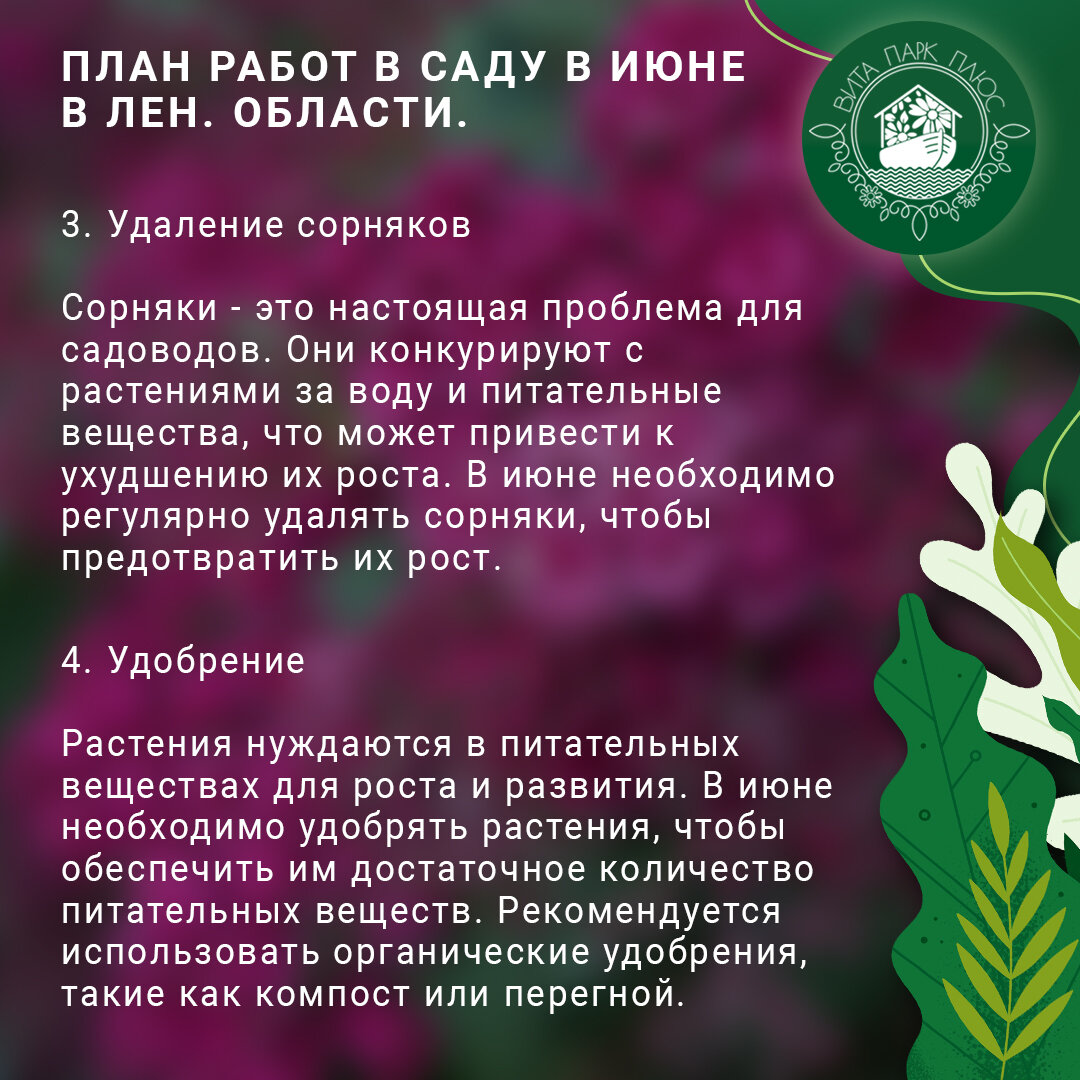 План работ в саду в июне для жителей Ленинградской области. | Вита Парк  Плюс | Дзен