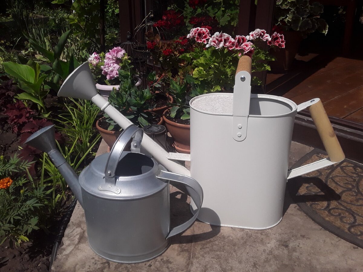 До начала сезона лейки жили на балконе