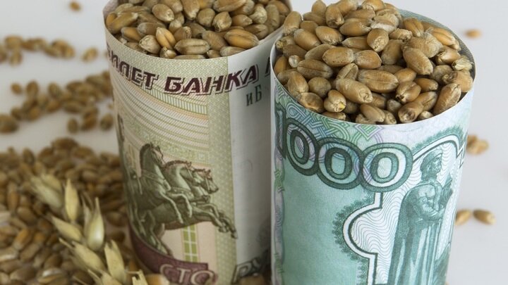 © NIKOLAY GYNGAZOV/GLOBALLOOKPRESS 