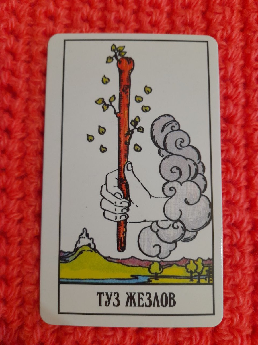 13 июня 2023 года