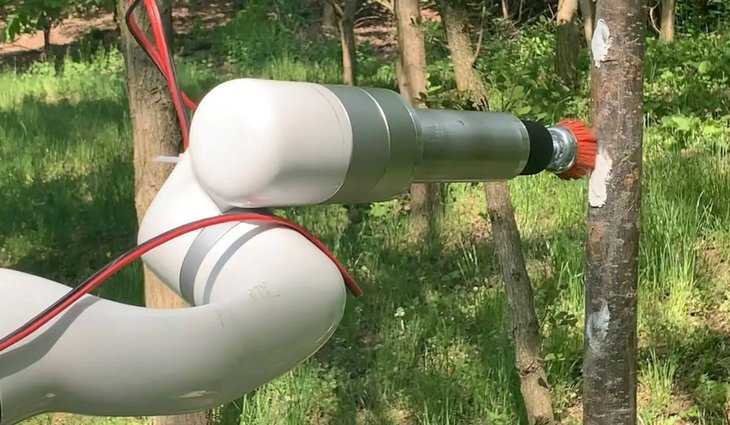    Ученые разработали трактор с роботизированной рукой для борьбы с инвазивной пятнистой фонарницей