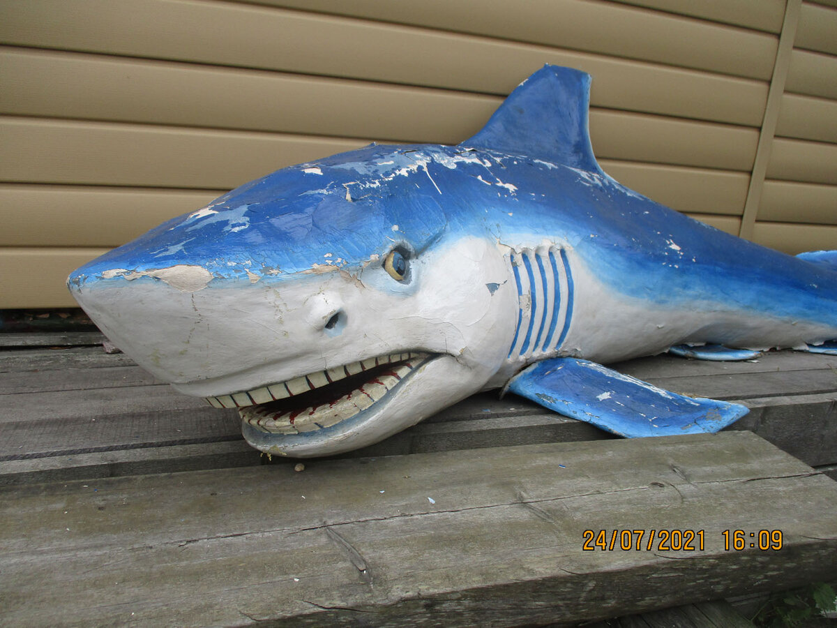 Единственная беломорская акула лежит на причале в Рабочеостровске