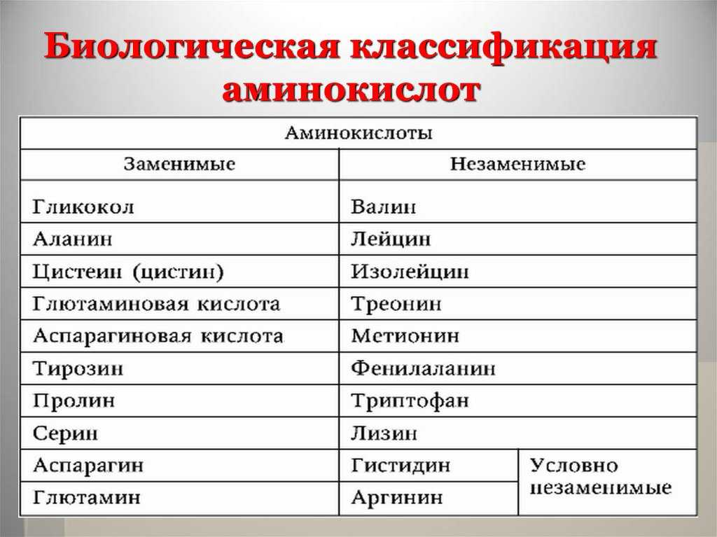Заменимые и незаменимые аминокислоты таблица. Классификация аминокислот заменимые. Классификация белковых аминокислот. 20 Аминокислот заменимые и незаменимые.