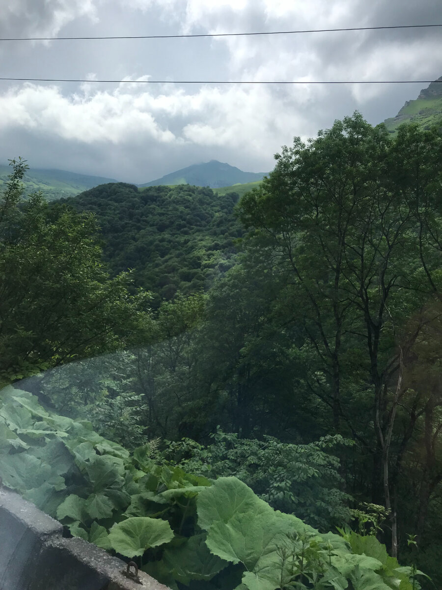 Теснина расположена на территории Карачаево-Черкесской Республики и славится своей природой. Здесь встречаются красивые горные пейзажи, ущелья, леса, водопады, а также множество видов растений и животных. Это место является настоящим райским уголком для любителей активного отдыха и прекрасной природы.