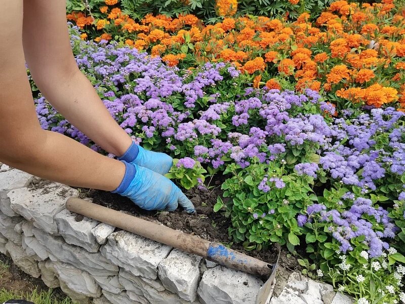 Фото: пресс-служба администрации города Сочи