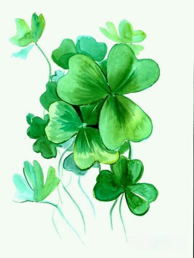 яндекс.картинки