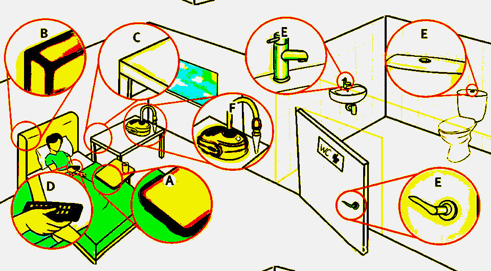   Коллаж N + 1. Источник: Wendy Barclay et al. / The Lancet Microbe, 2023