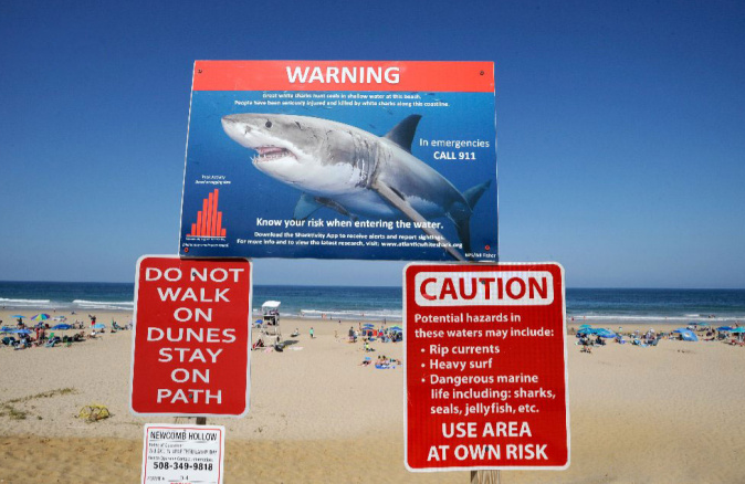 предупреждение на пляже Австралии