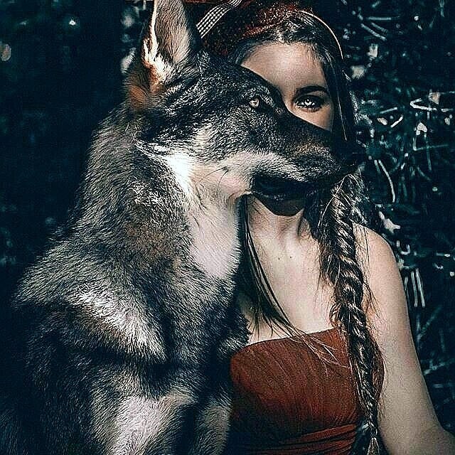 Фото Яндекс