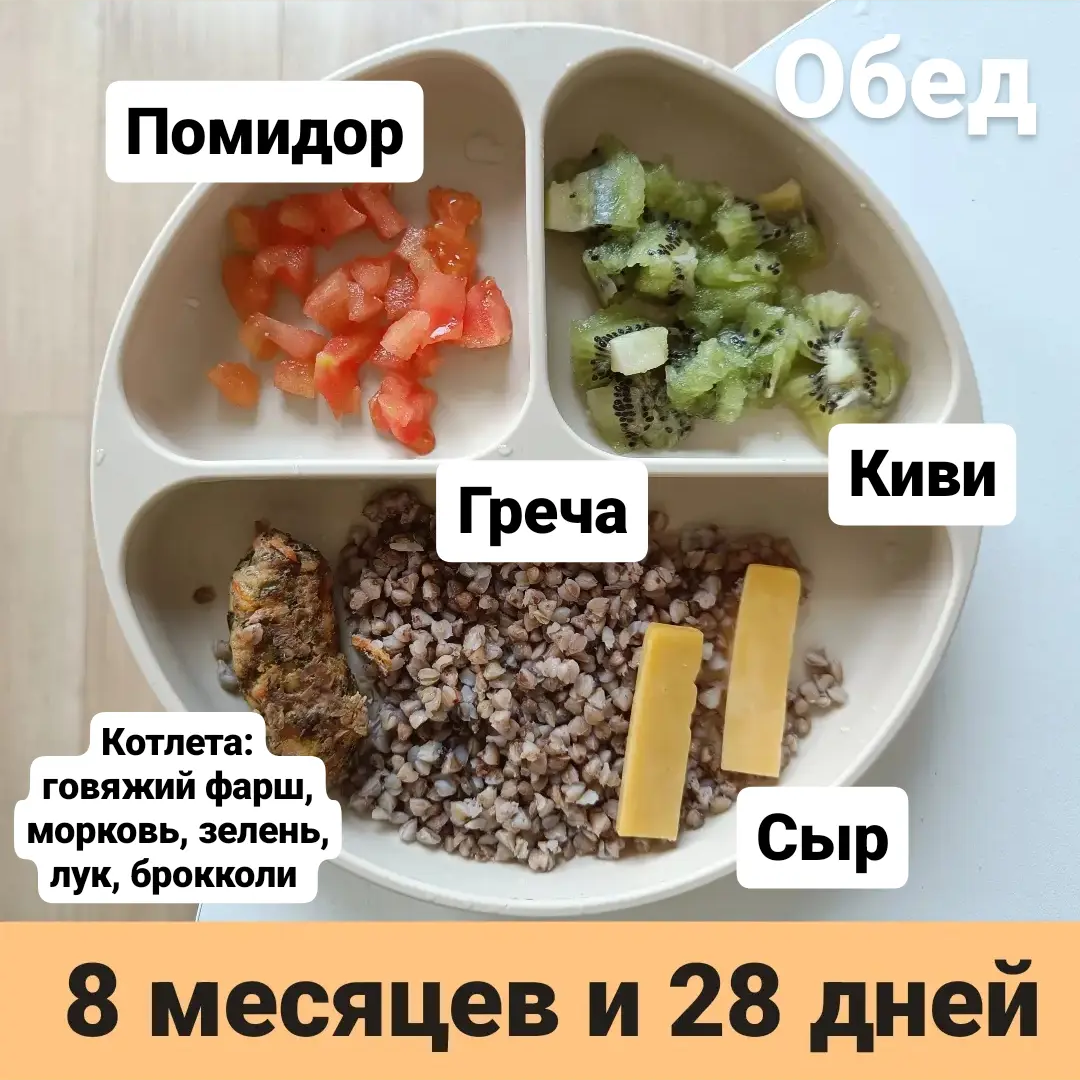 Пример тарелки в 8 месяцев 