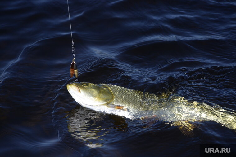    Во время рыбалки Станислав Чикирдин собрал мусор от туристов