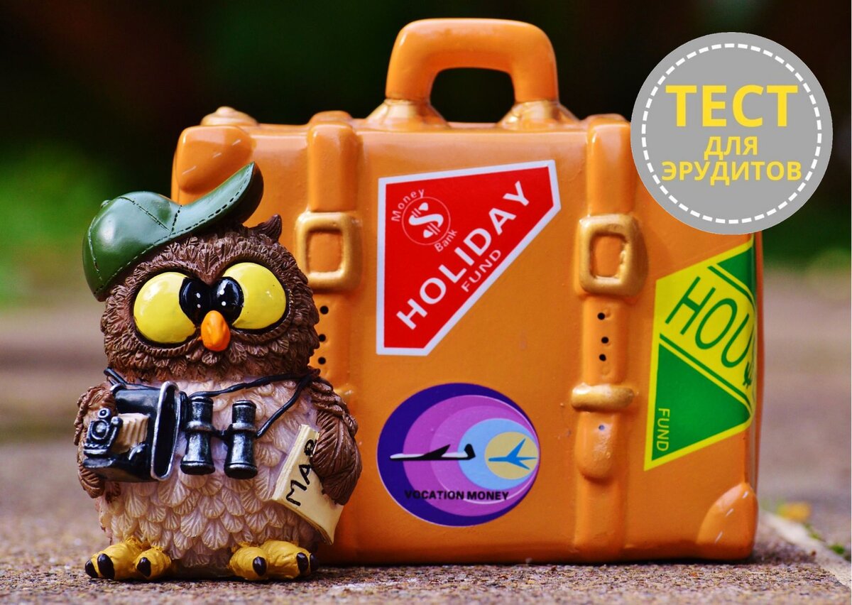 Источник изображения: pixabay.com, дизайн автора публикации