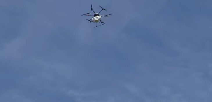    Кукурузный мотылек: дроны и паразитоидные осы против вредителя