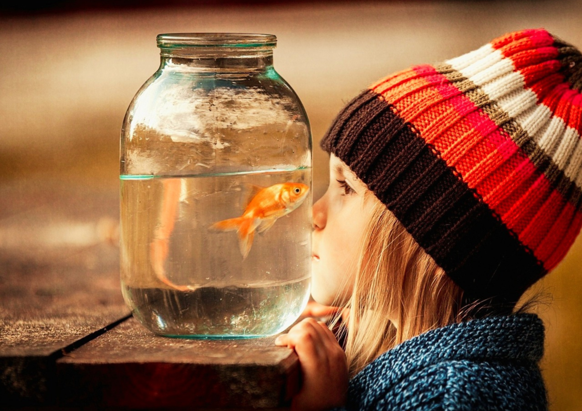 © Альберт Шатров, тренер-психотехнолог, психолог-психотерапевт, коуч, акмеолог 👇